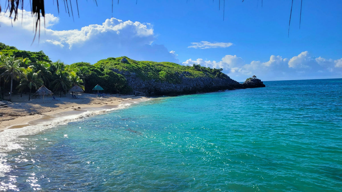 A beach and turquoise water on Roatan