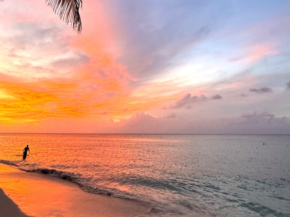 Yoga in Roatan: where to practice and what it costs