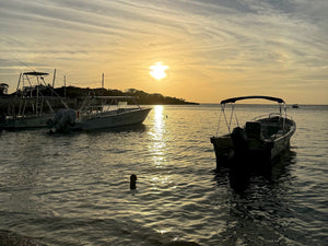 The best places to eat in West End, Roatan