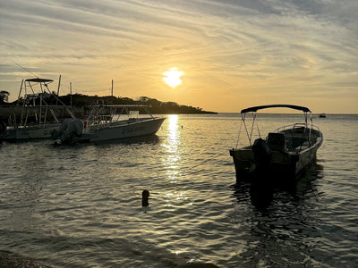 The best places to eat in West End, Roatan